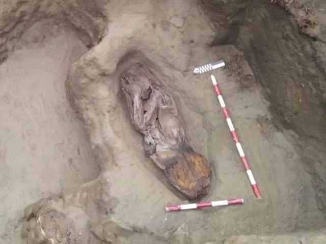 Remains of 5,000-Year-Old Noblewoman Discovered in Peru